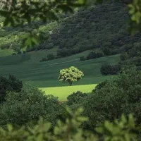 راهنمایی