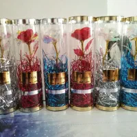 گل سرو30 سانت فقط عمده