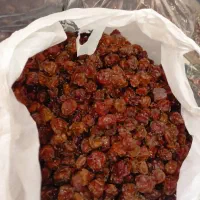 آلو خشک تمیز