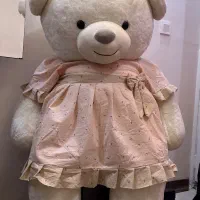 عروسک پلیشی