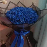 رزربانی با قیمت باور نکردنی