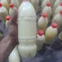 ابلیموصددرصد طبیعی از باغ شوشتر|خوردنی و آشامیدنی|اهواز, کوی فرهنگیان ۱|دیوار