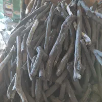 ذغال تاق طاق تاغ  و خریدار چوب تاق مج