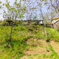 زمین ییلاقی|فروش خانه و ویلا|تالش, تالش|دیوار