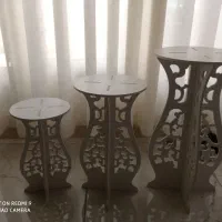 پایه گل|گل و گیاه طبیعی|مشهد, پنجتن|دیوار