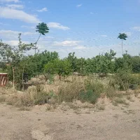 فروش باغ ۱۴۰۰متری