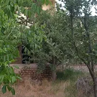 باغ