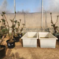 وان پلی اتیلن مخزن پلاستیکی