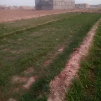 فروش-زمین-با-سند-تک-برگ