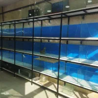 آکواریوم نو|ماهی|مشهد, انقلاب|دیوار