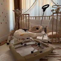 روروئک دلیجان