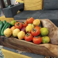 جامیوه ای دفرمه کار دست بسیار زیبا