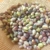 پسته تر و تازه