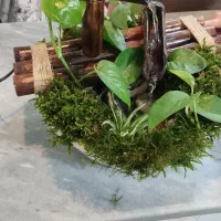 آب نما با گیاهان طبیعی|صنایع دستی و سایر لوازم تزئینی|سرخنکلاته, |دیوار