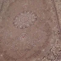 فرش ۵۰۰متری کاملاسالم
