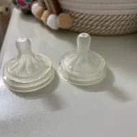 سر شیشه اونت
