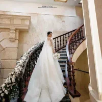 لباس عروس ژرنالی مدل ماهی سایز ۴۸-۳۸|لباس|گرگان, |دیوار