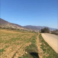 معاوضه زمین کیاسر به سمت دریاچه الندان بر آسفالت|فروش زمین و ملک کلنگی|کیاسر, |دیوار