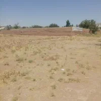 زمین-استقلال-54قیمت-480