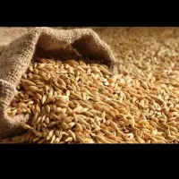 فروش فوری جو روس