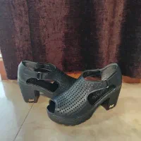 صندل|کیف، کفش، کمربند|فولادشهر, فولادشهر|دیوار