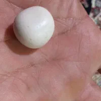 شهاب سنگ اسیاب اصل با تست وضمانت