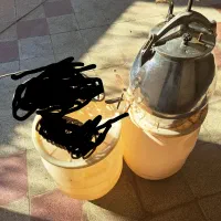 زودپز۲۵لیتری