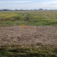 زمین کشاورزی