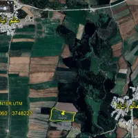 زمین کشاورزی آبی روستای علم آباد