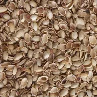 خرید و فروش پوست پسته