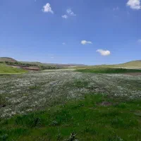 زمین-باغی-4-هکتاری