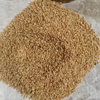 فروش گندم|خوردنی و آشامیدنی|شیراز, اکبر آباد|دیوار