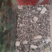 آکواریوم|ماهی|تهران, خزانه|دیوار