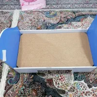 تخت کودک و نوجوان|تخت و صندلی بچه|قم, شاه ابراهیم|دیوار