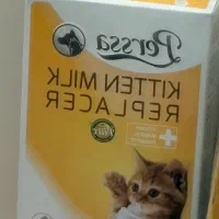 شیره خشک گربه