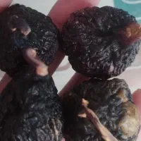 انجیر خشک و عرق نعنای ارگانیک