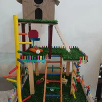 پارک طوطی سانان ، پرنده