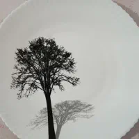 سرویس ارکوپال