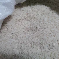 برنج هاشمی گیلان