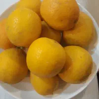 فروش لیمو ترش انباری