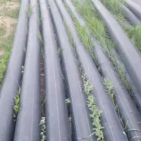 فروش لوله ۲۰۰