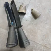 زنگوله جفت بزرگ