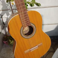 گیتار پارسی M5