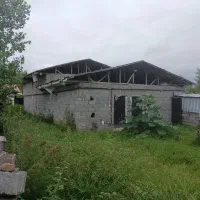 ملک چند منظوره 1500 متری با امکانات کامل|فروش دفتر صنعتی، کشاورزی، تجاری|چاف و چمخاله, |دیوار