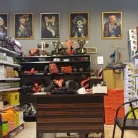 پخش ملزومات حیوانات خانگی جیلی پت