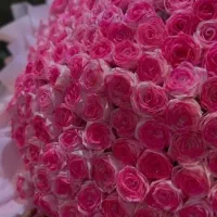 گل روبانی جاویدان|گل مصنوعی|اهواز, اهواز|دیوار