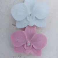 شمع ارکیده