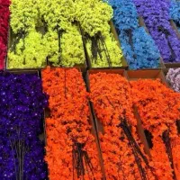 درختچه‌ی شکوفه