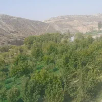 گل خانه فعال فروشی