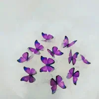 دسته گل پروانه ولنتاینی